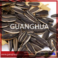New Crop Sunflower Seeds for Exporting